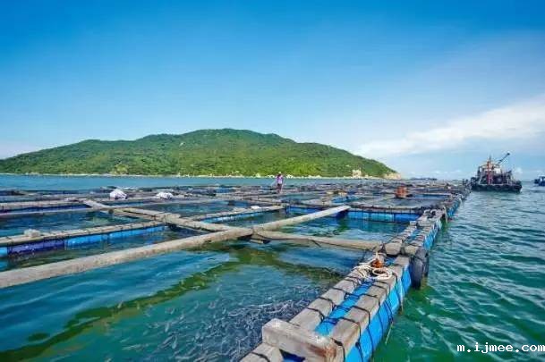 珠海市海淼水产进出口引进我司水产品质量检测仪