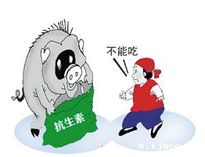 食品安全检测仪 食品安全检测仪