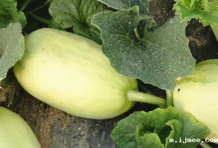 多功能食品安全检测仪